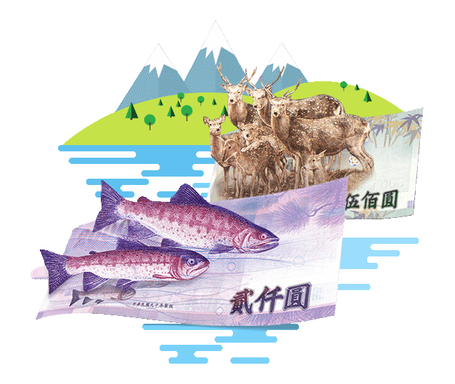 台灣貨幣小百科